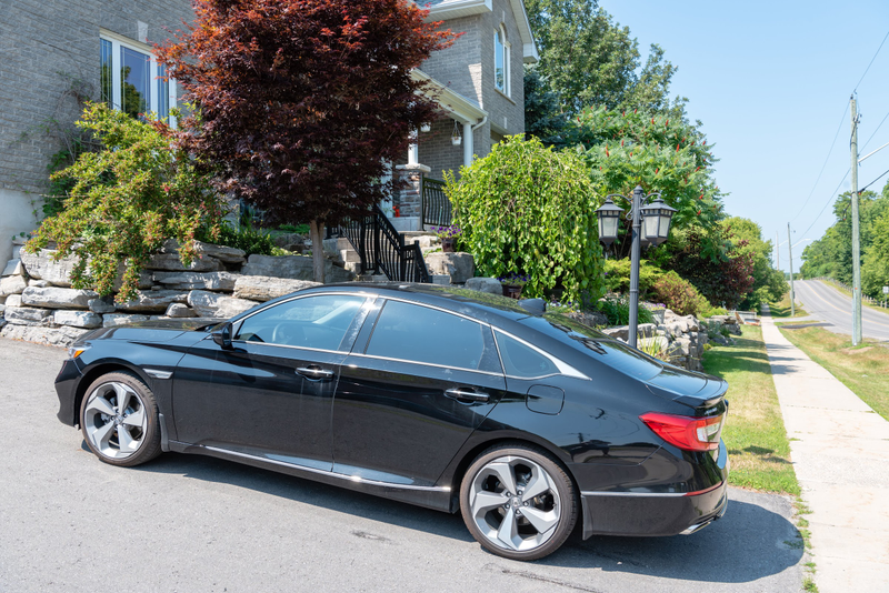 Illustration for article titled Pics from the Curbside: 2019-07-27 to 28